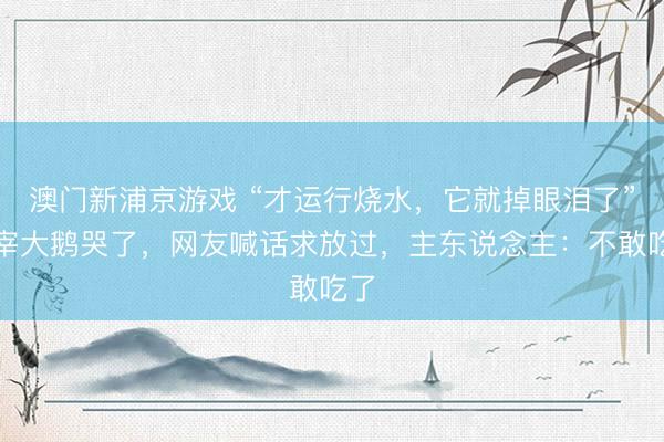 澳门新浦京游戏 “才运行烧水，它就掉眼泪了”待宰大鹅哭了，网友喊话求放过，主东说念主：不敢吃了