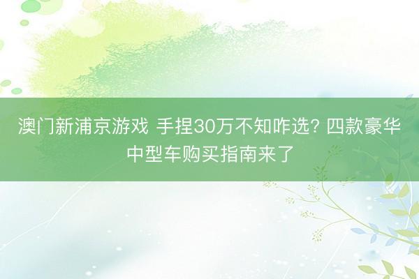 澳门新浦京游戏 手捏30万不知咋选? 四款豪华中型车购买指南来了