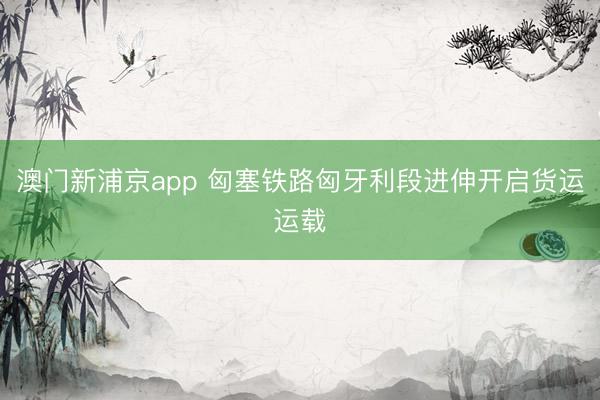 澳门新浦京app 匈塞铁路匈牙利段进伸开启货运运载