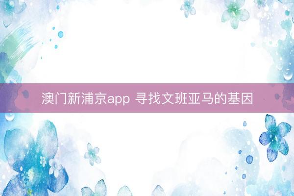 澳门新浦京app 寻找文班亚马的基因