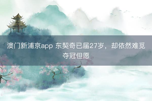 澳门新浦京app 东契奇已届27岁,却依然难觅夺冠但愿