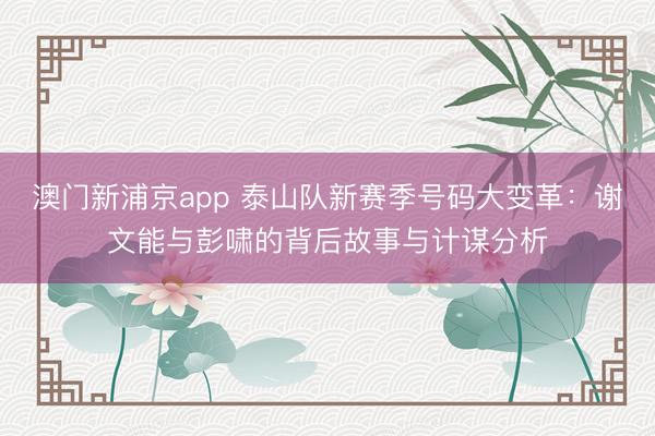 澳门新浦京app 泰山队新赛季号码大变革:谢文能与彭啸的背后故事与计谋分析